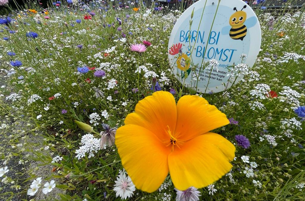 Hvad har frø, børnehavebørn og vådrumssystemer med hinanden at gøre?