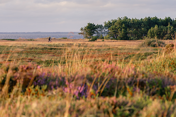 Gulvopvarmet yoga på første sal med udsigt til himmel og fjord